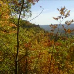 IMG00339-20111010-1303