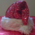 Santa hat cropped jaypeg